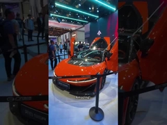 Di pameran mobil: Apa pintu mobil keren! Bagaimana itu diproduksi di industri?